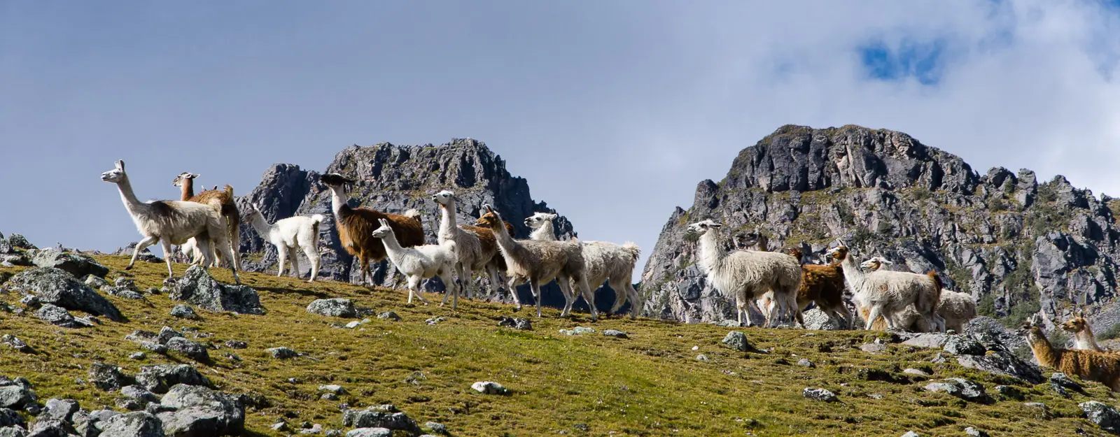 Home Slider Cusi Travel Cusco Peru